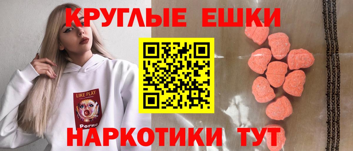 Ecstasy Philipp Plein Малгобек