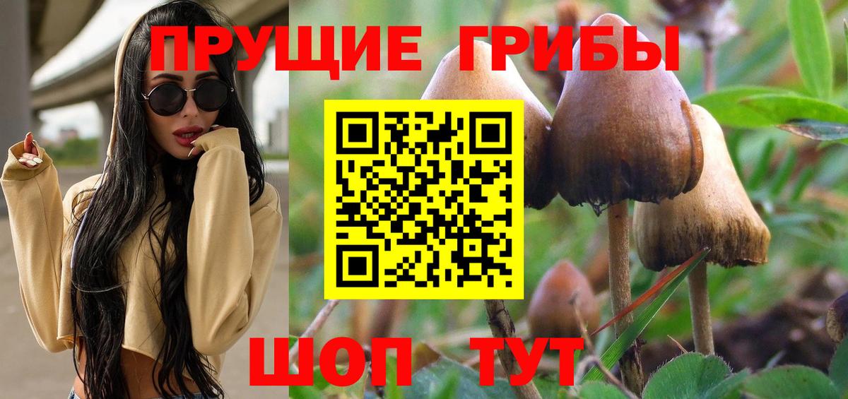 Галлюциногенные грибы Psilocybine cubensis  Вход с VPN  Галлюциногенные грибы Psilocybe  Малгобек 