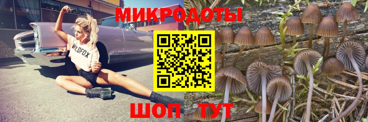 Галлюциногенные грибы мицелий Малгобек